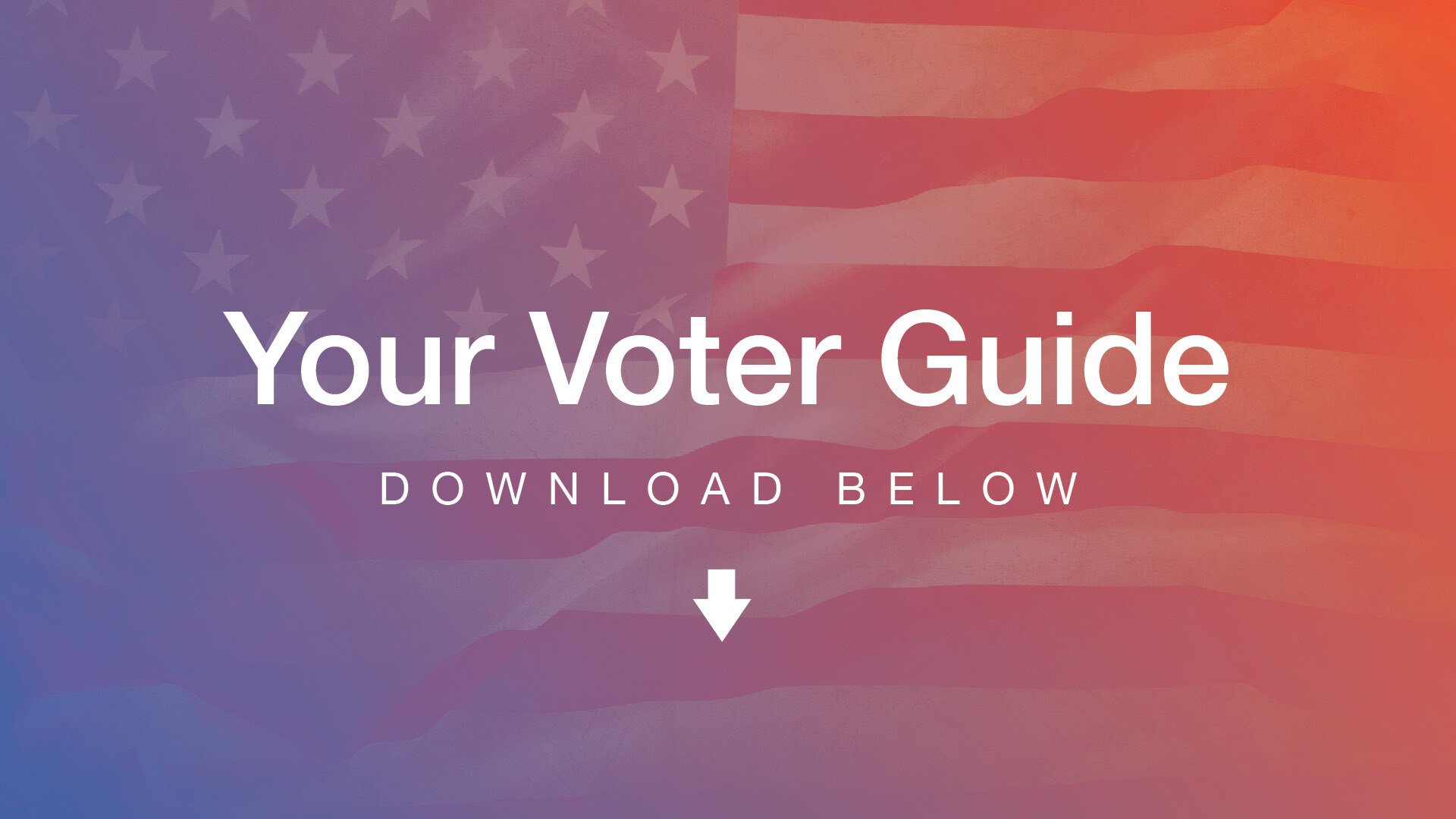 Generic Voter Guide