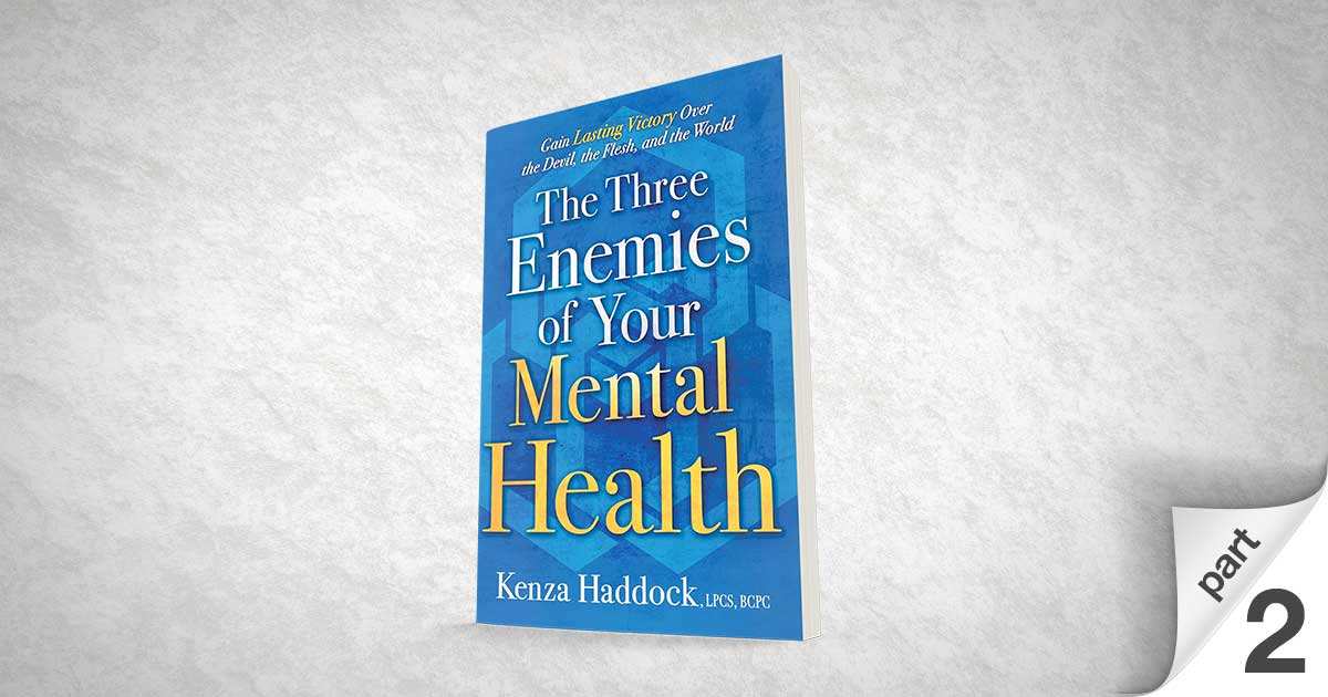 The Three Enemies of Your Mental Health, Part 2